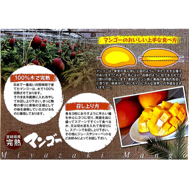 宮崎県産 完熟マンゴー 自家用 2~2.3kg