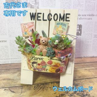 多肉植物　古代さま専用ページです(その他)