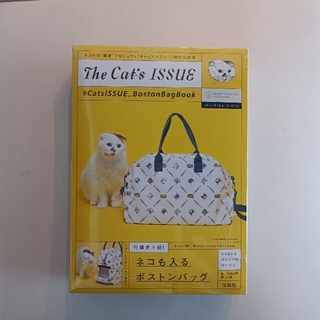 ビューティアンドユースユナイテッドアローズ(BEAUTY&YOUTH UNITED ARROWS)のThe Cat's ISSUE  　UNITED    ARROWS(趣味/スポーツ/実用)