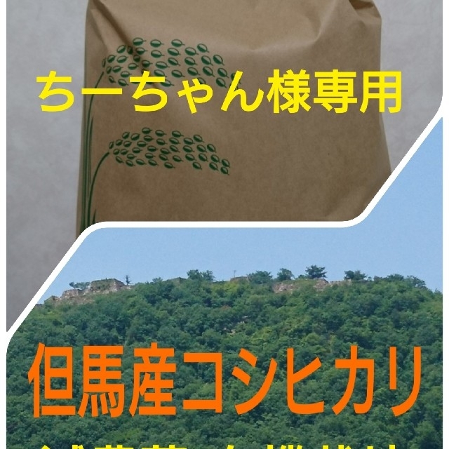 ちーちゃん様専用 食品/飲料/酒の食品(米/穀物)の商品写真