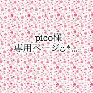 pico様 専用ページ✿.*(チャーム)