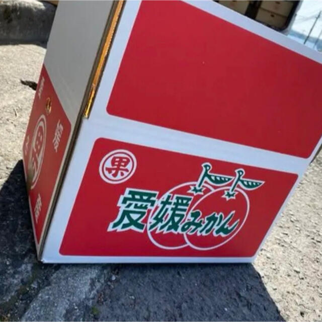 コチバン様　専用　愛媛県産　デコポン　10kg ＋5kg 食品/飲料/酒の食品(フルーツ)の商品写真