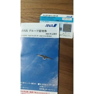 エーエヌエー(ゼンニッポンクウユ)(ANA(全日本空輸))のANA 株主優待券&グループ優待券1冊(その他)