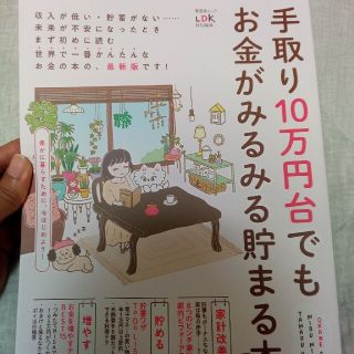 手取り１０万円台でもお金がみるみる貯まる本 最新版(ビジネス/経済)