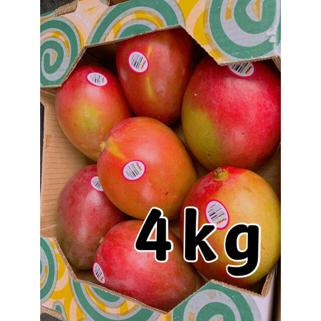 コストコ(コストコ)のコストコ マンゴー 4kg 大玉 食品/飲料/酒の食品(フルーツ)の商品写真