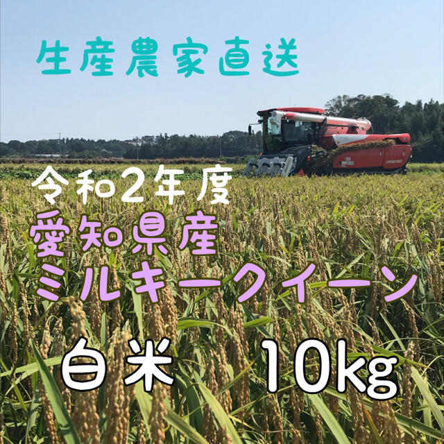 愛知県産ミルキークイーン　白米10㎏ 食品/飲料/酒の食品(米/穀物)の商品写真