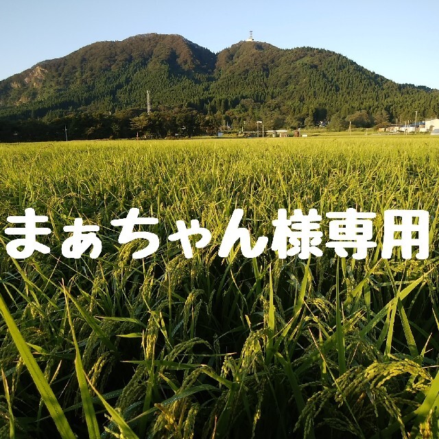 65%OFF!】 まぁちゃん様専用 rahathomedesign.com