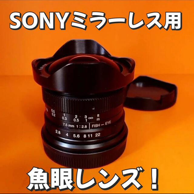 初めての魚眼レンズ！フィッシュアイレンズ！SONYミラーレス用！サードパーティ！