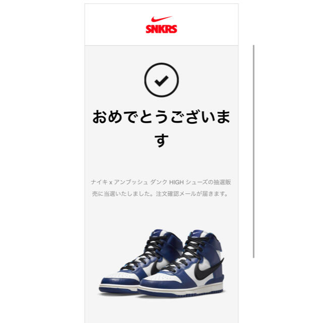 NIKE ダンクHigh アンブッシュメンズ