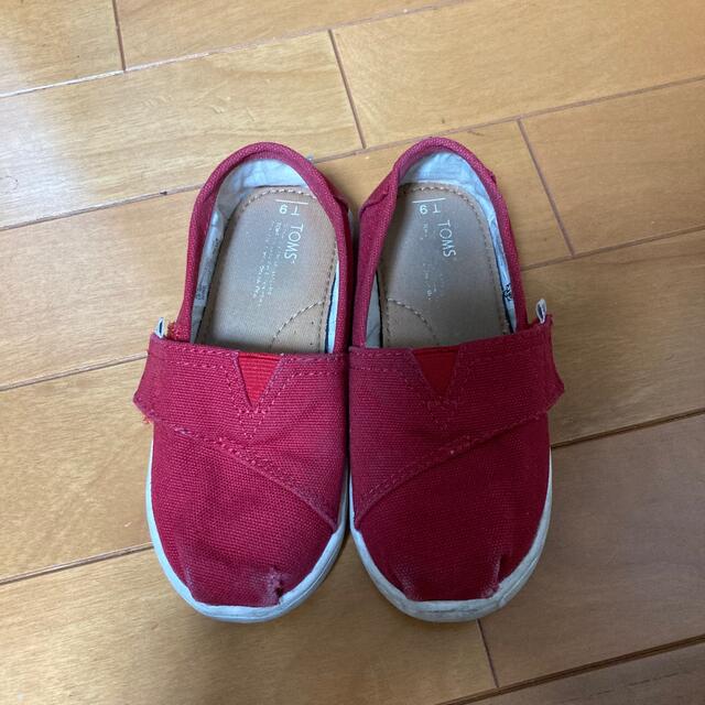 TOMS(トムズ)のTOMS キッズスリッポン キッズ/ベビー/マタニティのキッズ靴/シューズ(15cm~)(スリッポン)の商品写真