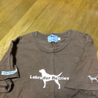 ラブラドールリトリーバー(Labrador Retriever)のラブラドールレトリバー.半袖Tシャツエスサイズ.ここは色(Tシャツ(半袖/袖なし))