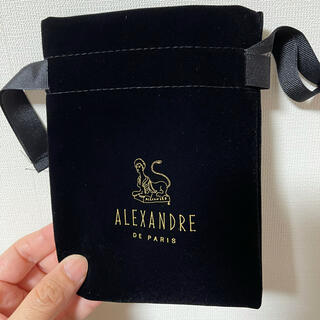 アレクサンドルドゥパリ(Alexandre de Paris)のALEXANDRE DE PARIS 保存袋(その他)