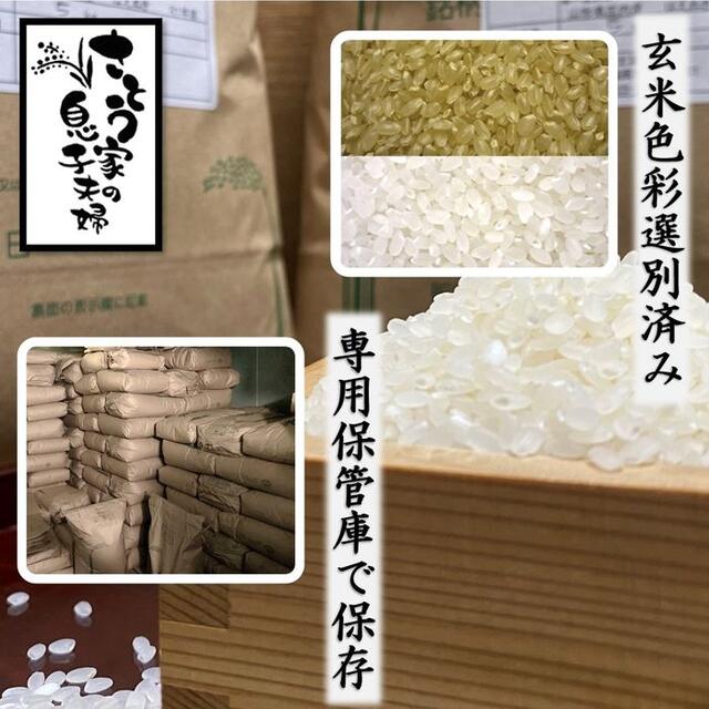 令和２年　山形県庄内産　つや姫　白米５ｋｇ　Ｇセレクション　特別栽培米 食品/飲料/酒の食品(米/穀物)の商品写真