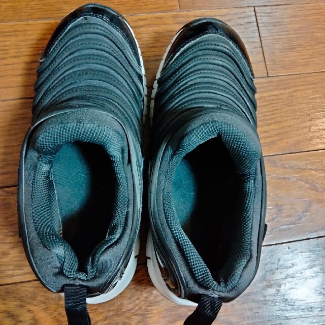 NIKE(ナイキ)のナイキ　ダイナモフリー　20cm キッズ/ベビー/マタニティのキッズ靴/シューズ(15cm~)(スニーカー)の商品写真