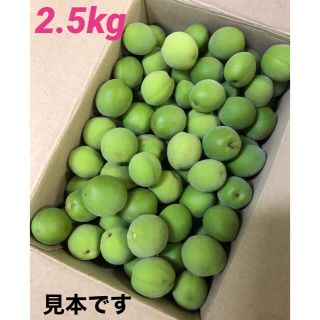 青梅　2.5kg  無農薬　大小色々　⓵(フルーツ)