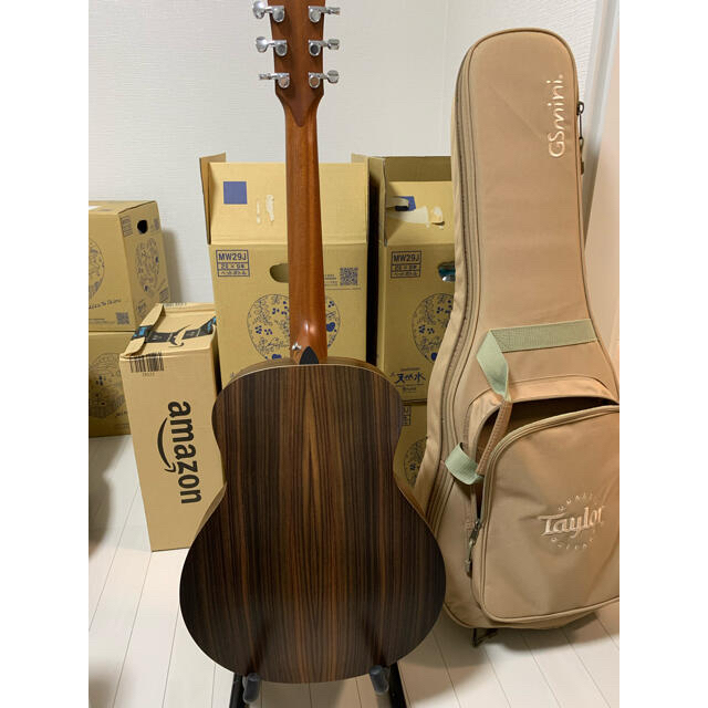 Taylor GS Mini RW/FALTD2013