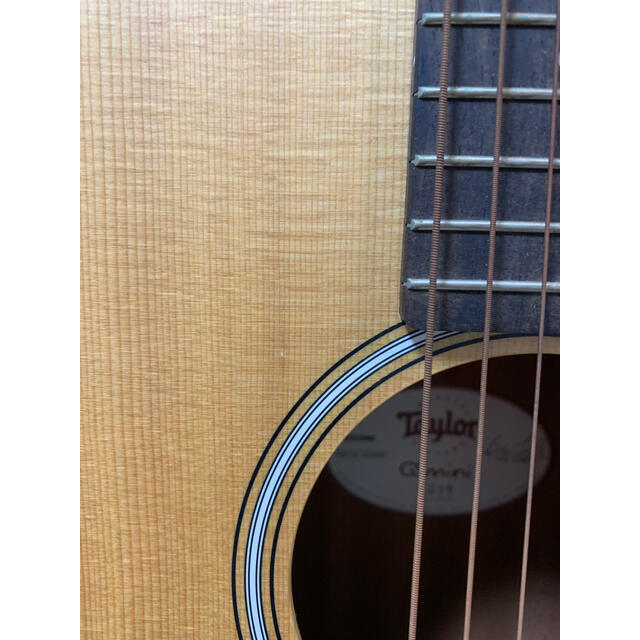 Taylor GS Mini RW/FALTD2013