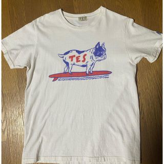 TES Tシャツ メンズ エンドレスサマー パイル 半袖Tシャツ (Tシャツ/カットソー(半袖/袖なし))