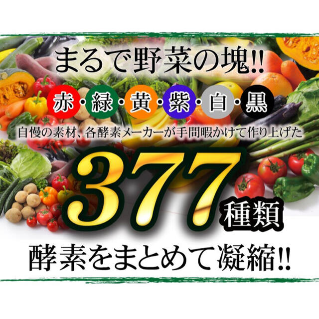 定価 8,640円‼️野菜果物キノコなど濃すぎる酵素をたっぷり凝縮‼️ 食品/飲料/酒の健康食品(その他)の商品写真