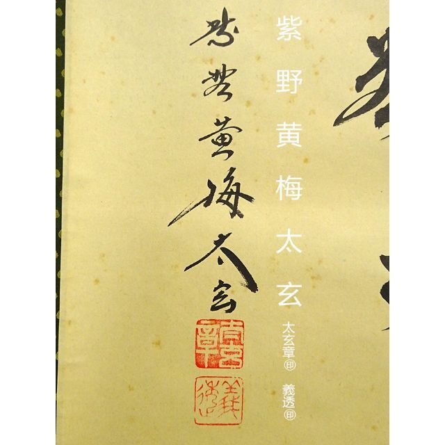 早い者勝ち 掛軸 大徳寺派黄梅院 小林太玄 一行書 茶掛け 紙本 共箱付