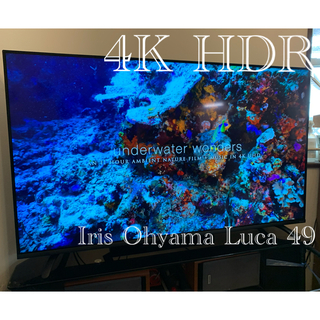 アイリスオーヤマ(アイリスオーヤマ)のゆっっっちゃ様専用　LUCA LT-49B620 4K テレビ IPS (テレビ)