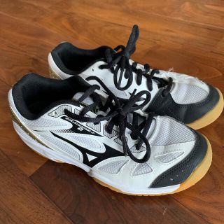 ミズノ(MIZUNO)のバレーボールシューズ　MIZUNO 23.5(バレーボール)