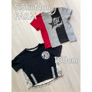 シシュノン(SiShuNon)のSiShuNon FARM キッズtシャツ2枚セット 100cm オシャレ 半袖(Tシャツ/カットソー)