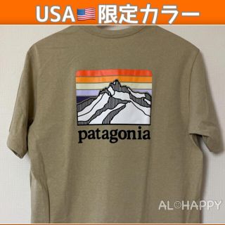 パタゴニア(patagonia)のパタゴニア　レスポンシビリティー　半袖　Tシャツ　日本未入荷　カラー(Tシャツ/カットソー(半袖/袖なし))