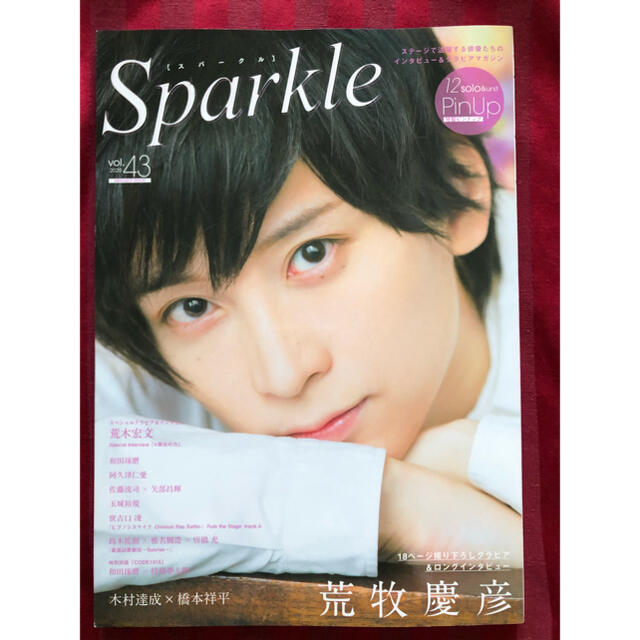 Ｓｐａｒｋｌｅ Ｖｏｌ．４３（２０２０） エンタメ/ホビーの本(アート/エンタメ)の商品写真