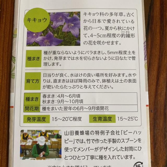 山田養蜂場 キキョウの種の通販 By みかん ヤマダヨウホウジョウならラクマ 山田養蜂場 キキョウの種の通販 By みかん ヤマダヨウホウジョウならラクマ