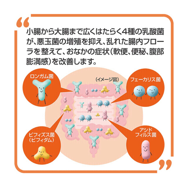 大正製薬(タイショウセイヤク)の【指定医薬部外品】新ビオフェルミンSプラス錠 550錠 食品/飲料/酒の健康食品(その他)の商品写真