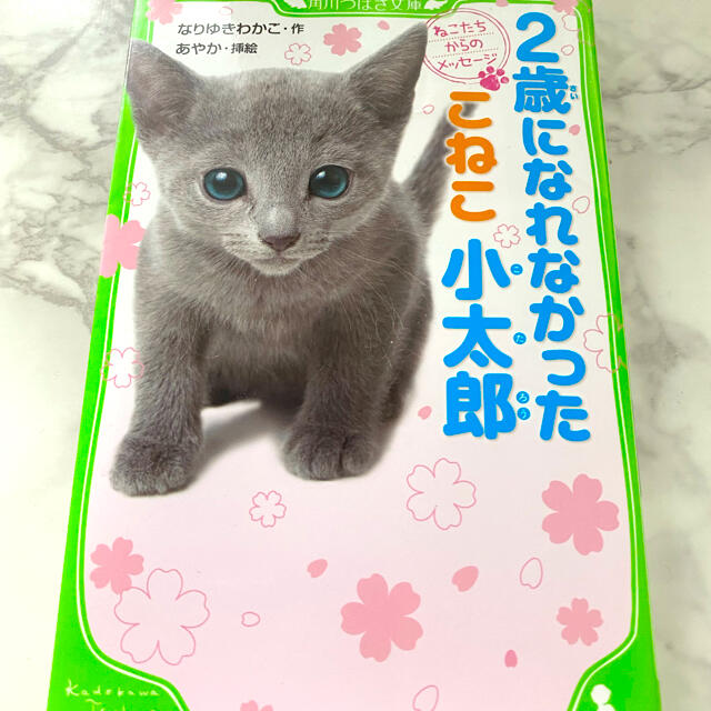 角川書店(カドカワショテン)の2歳になれなかったこねこ小太郎 : ねこたちからのメッセージ エンタメ/ホビーの本(ノンフィクション/教養)の商品写真