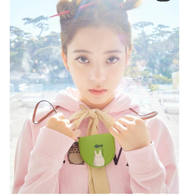 人気のピンク ロエベ トトロ フーディ LOEWE パーカー XS - パーカー