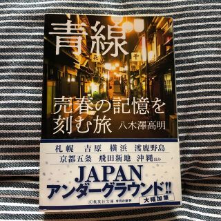 青線 売春の記憶を刻む旅(文学/小説)