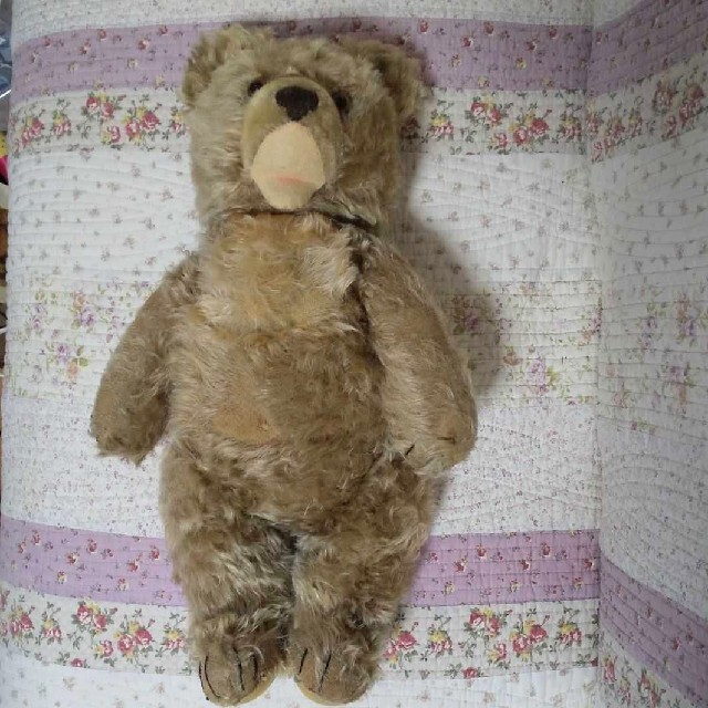 シュタイフ テディベア ゾッティ 1950 年代 ヴィンテージ Steiff