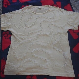 ザラキッズ(ZARA KIDS)のZARA  フリフリTシャツ  160cm(Tシャツ/カットソー)