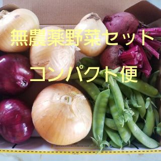 無農薬野菜セット　詰め合わせ(野菜)