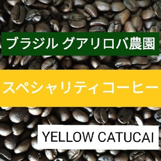自家焙煎コーヒー豆（100ｇ）(コーヒー)