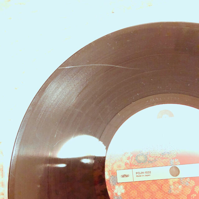 【10インチレコード2枚組】スピッツ｢花鳥風月｣アナログレコード 5