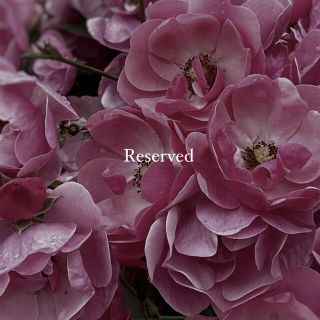 Reserved (ピアス)