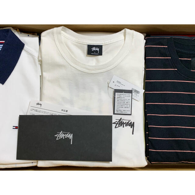 Stussy Live Clean Pig Dyed Tee Tシャツ
