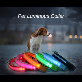 犬用　LED内蔵光る首輪 ピンク色 サイズM(40〜48cm)(犬)