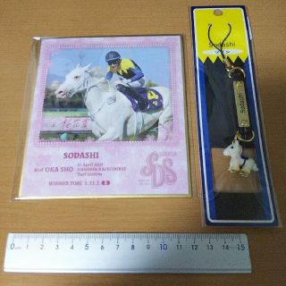 競馬 白毛馬 ソダシ 桜花賞制覇 ミニ色紙 携帯ストラップ セット コレクション(ノベルティグッズ)