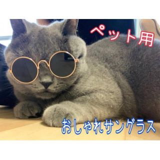 ペット ピンク 桃色系 の通販 3 000点以上 ハンドメイド お得な新品 中古 未使用品のフリマならラクマ ペット ピンク 桃色系 の通販 3 000点以上 ハンドメイド お得な新品 中古 未使用品のフリマならラクマ