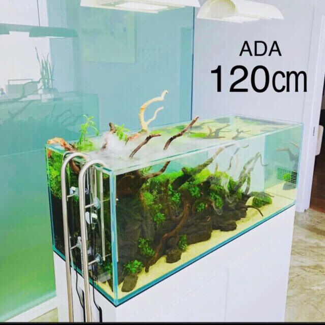 最も完璧な nari☆ADA Aqua Design Amanoキューブガーデンセット 魚 最も完璧な nari☆ADA Aqua Design Amanoキューブガーデンセット 魚