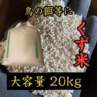 くず米 20kg  米・雑穀 鳥の餌 飼料 ヤケ米(米/穀物)