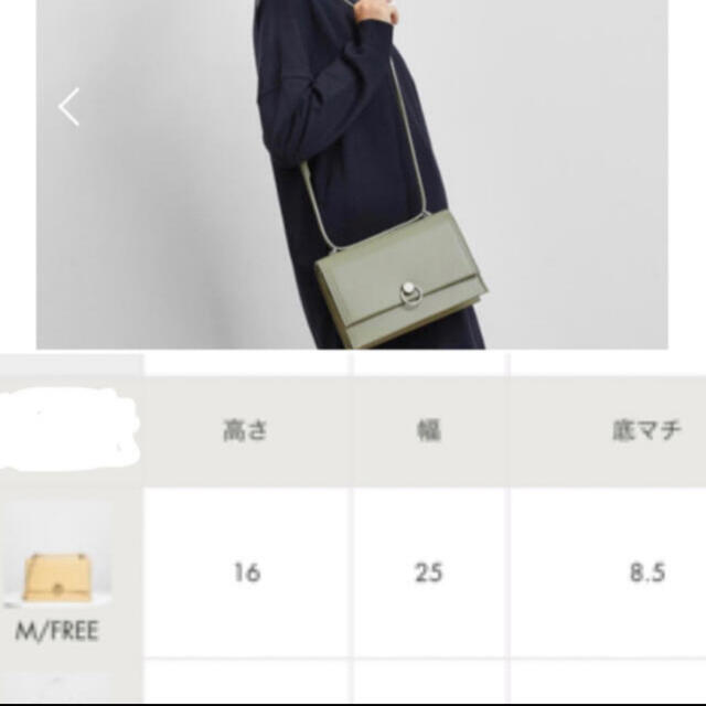 Charles and Keith(チャールズアンドキース)のCharles and Keith チャールズアンドキース　バッグ レディースのバッグ(ショルダーバッグ)の商品写真