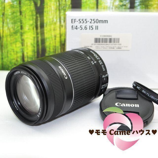 史上最も激安 Canon - キャノン望遠レンズ☆EF-S 55-250mm手ブレ補正