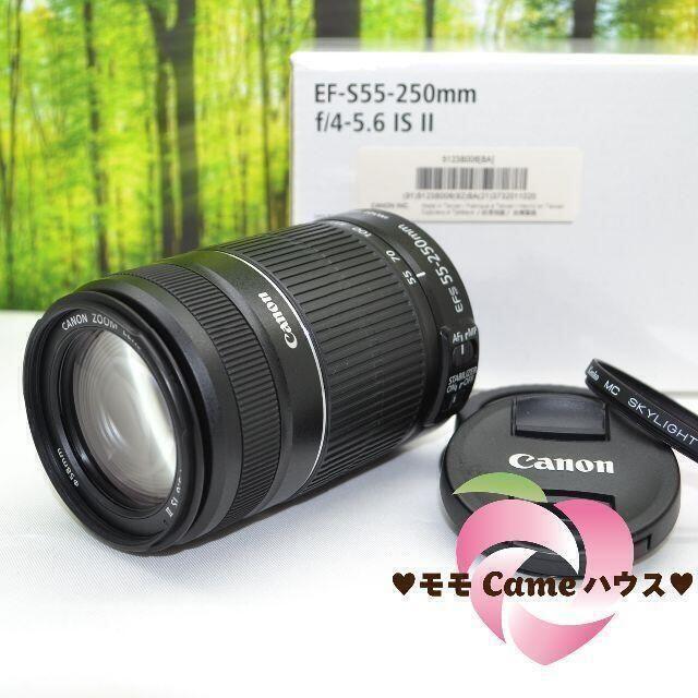 キャノン望遠レンズ☆EF-S 55-250mm手ブレ補正つき☆1638-1-