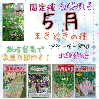 ５月まきどきの固定種 野菜の種 ハーブの種 水耕栽培 家庭菜園 種 種子 園芸(野菜)